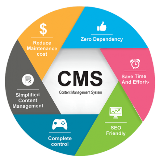 Custom CMS Benefits Showcase